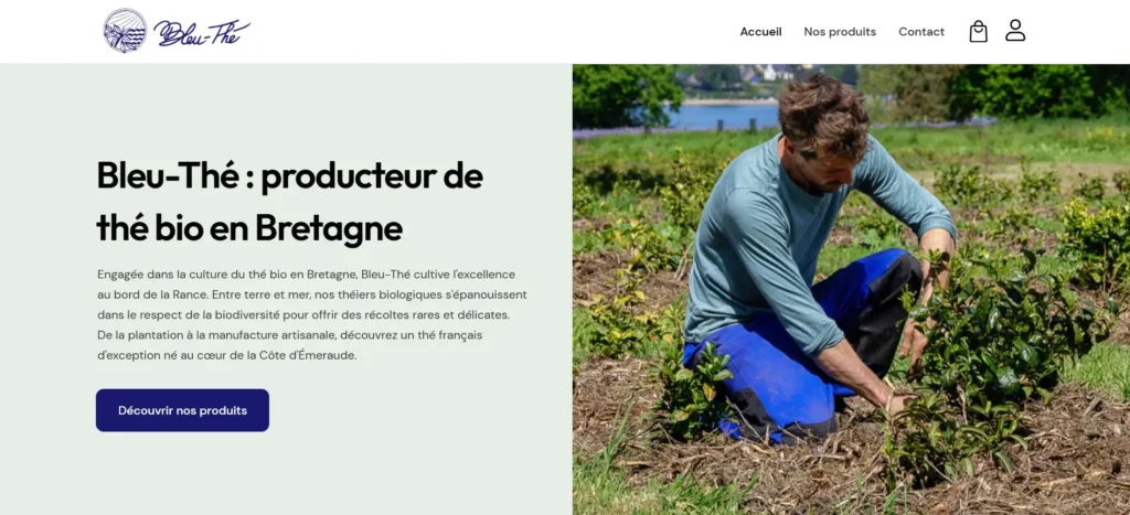 Site web Bleu Thé